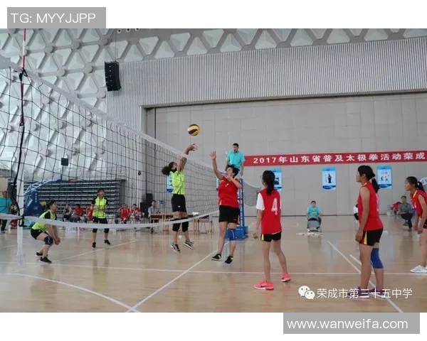 上海排球队在全国排球耐力排行榜中荣获第五名的佳绩分析