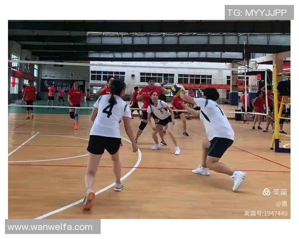 南京排球队在精英赛中的意识表现分析与反思