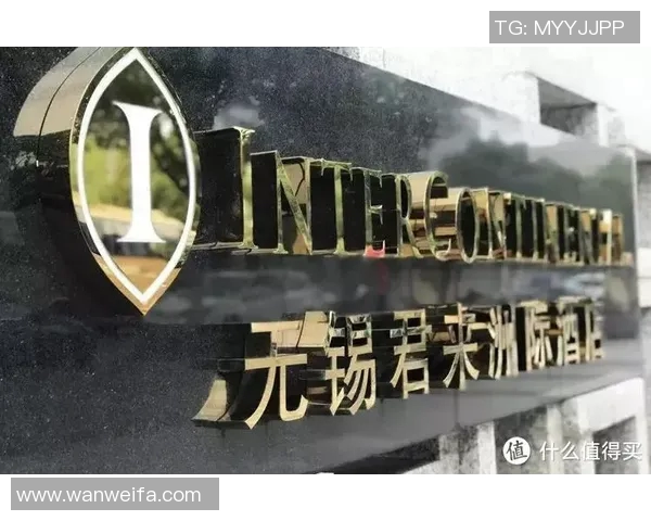 南京网球队在洲际杯积分榜中以73分稳居第一名展现强劲实力