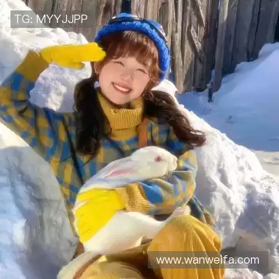 明贞梦